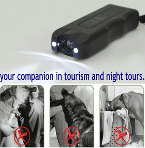 your companion in tourism and night tours.