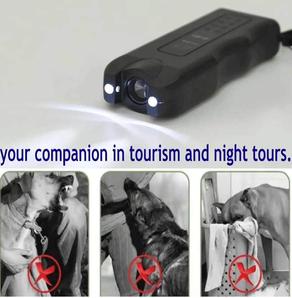 your companion in tourism and night tours.