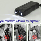 your companion in tourism and night tours.